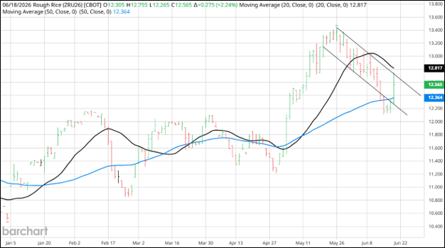 CME Rough Rice September 2026, Daily Chart