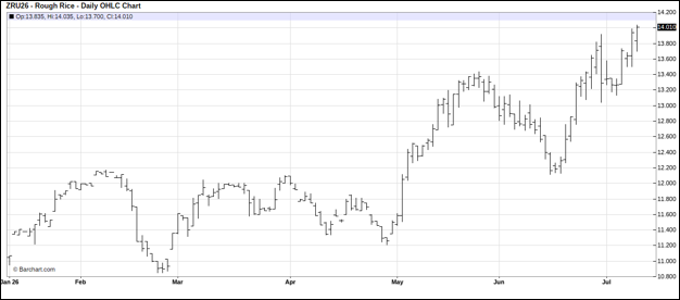 CME Rough Rice September 2026 Futures