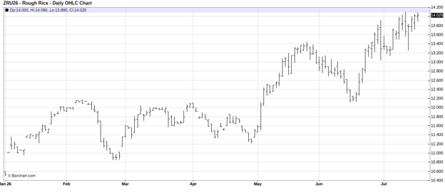 CME Rough Rice Futures, September 2026 Contract