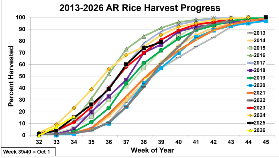 Arkansas rice 2026 harvest progress
