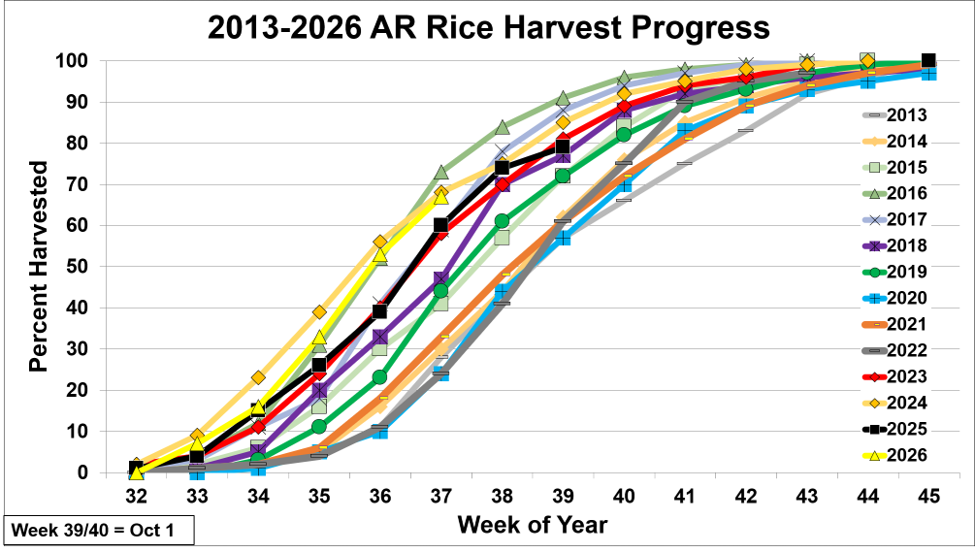 Arkansas rice 2026 harvest progress
