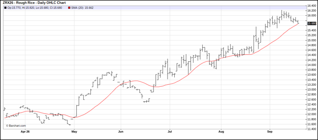 CME Rough Rice Futures, November 2026 Daily Chart