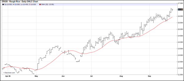CME November 2026 Rough Rice, Daily Chart
