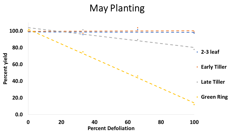 Yield compared to the untreated control for multiple defoliation levels and growth stages for May planted rice
