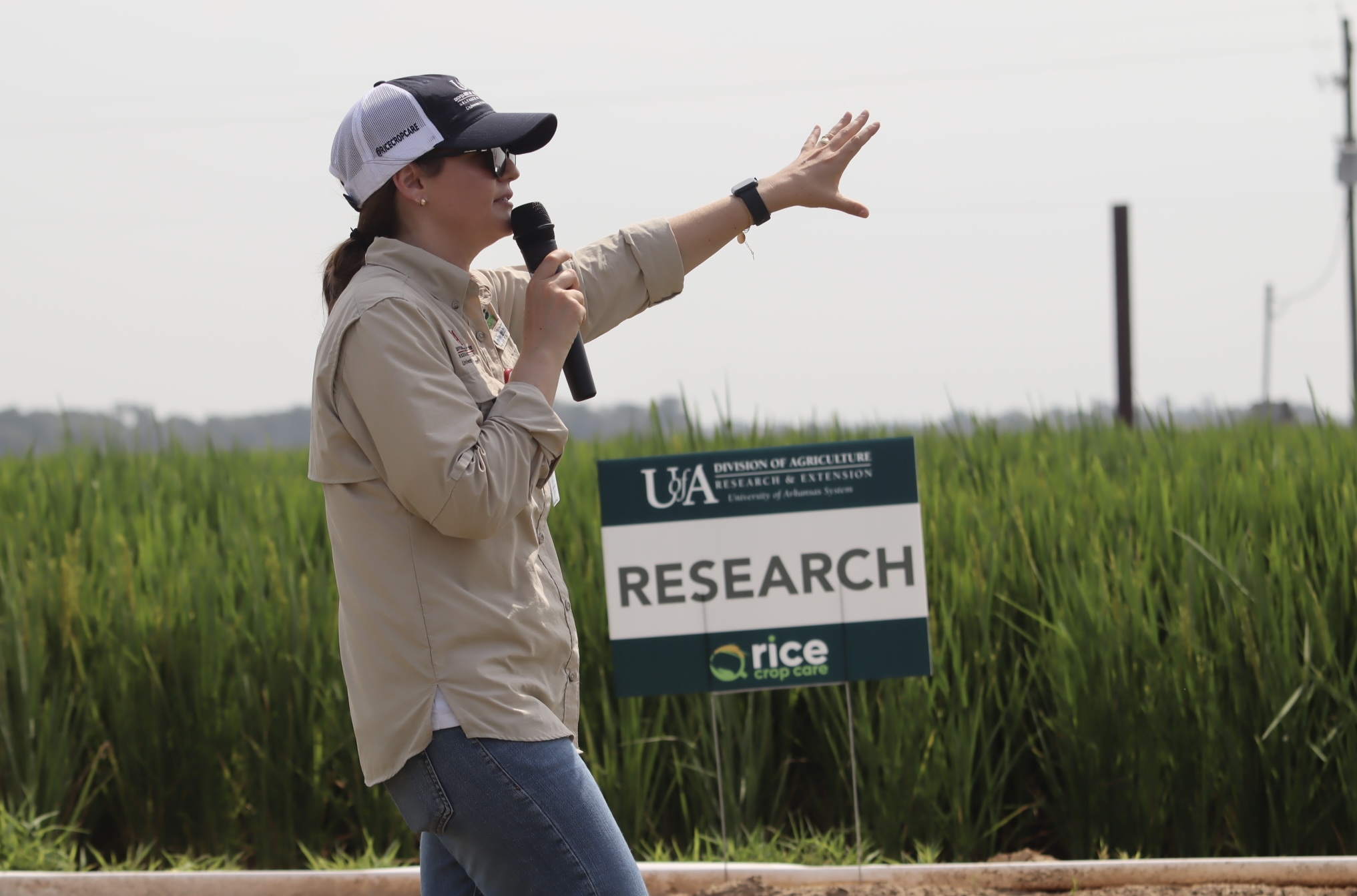 Dr. Nicolli presents at the 2023 Rice Field Day