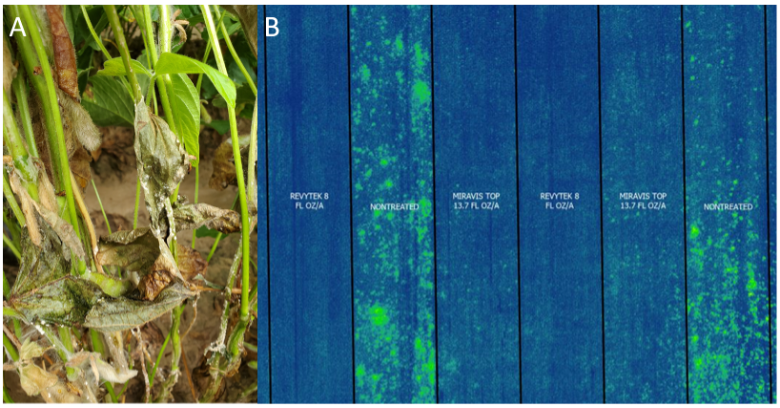 Aerial blight on soybeans and an aerial image of a fungicide trial completed in 2022.