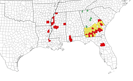Map of southern rust distribution in the southeast United States as of July 18, 2022. Counties are color coded, red is positive, yellow is probable, and green is scouted, but not found. Follow link in post to corn ipm pipe website for interactive map.