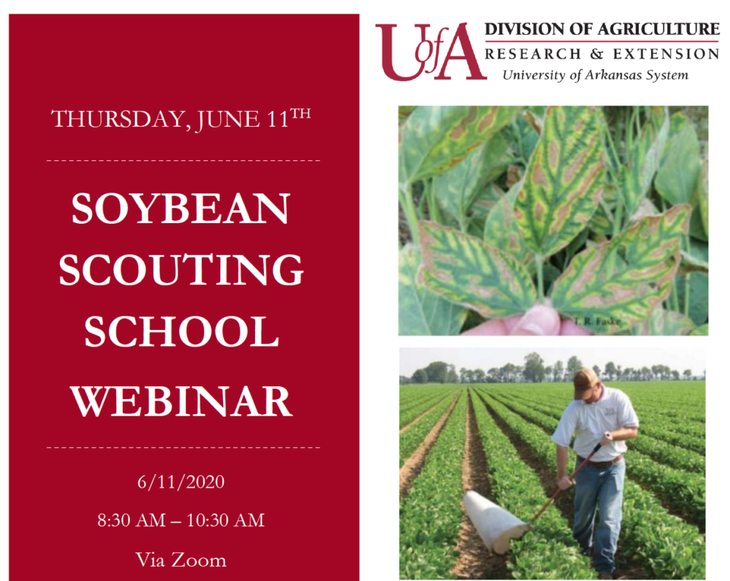 Row Crop Pest Scouting Schools Available as Online Courses