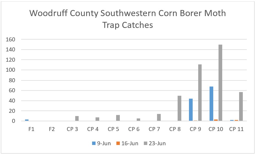 Bar graph indicating Southwestern Corn Borer Moth trap catches for Woodruff County (June 9 – 23, 2022) - refer to long descriptive text in the blog post for details.