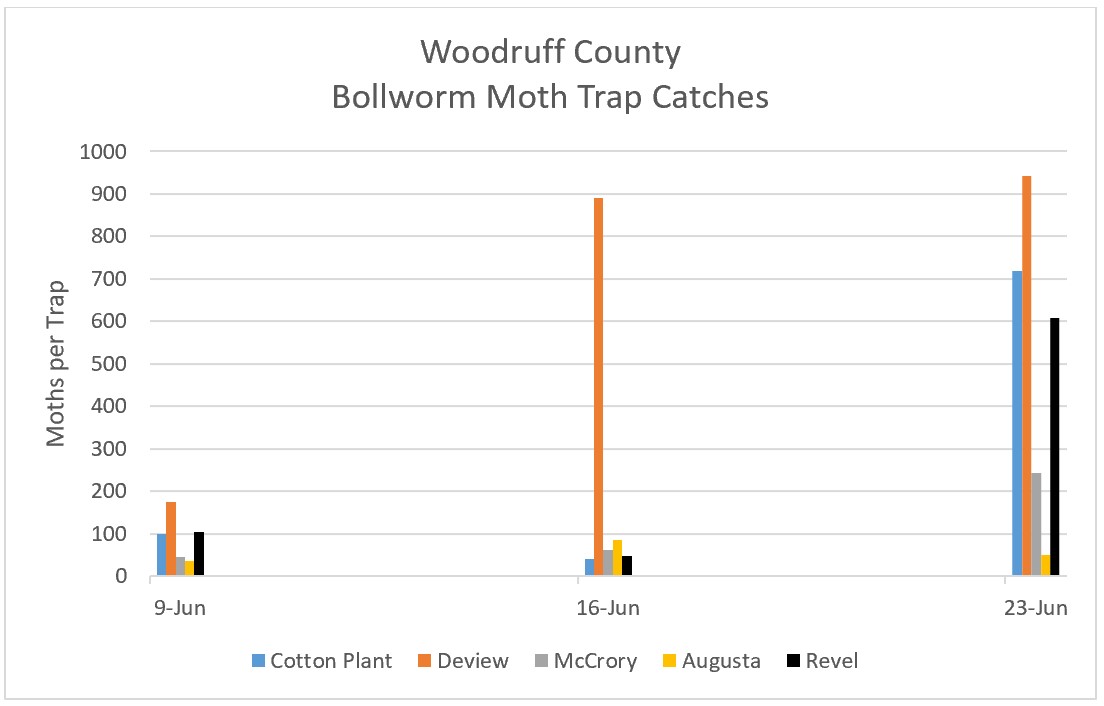 Bar graph of Bollworm Moth Trap Catches for Woodruff County (June 9 – 23, 2022) - refer to long descriptive text in the blog post for details.