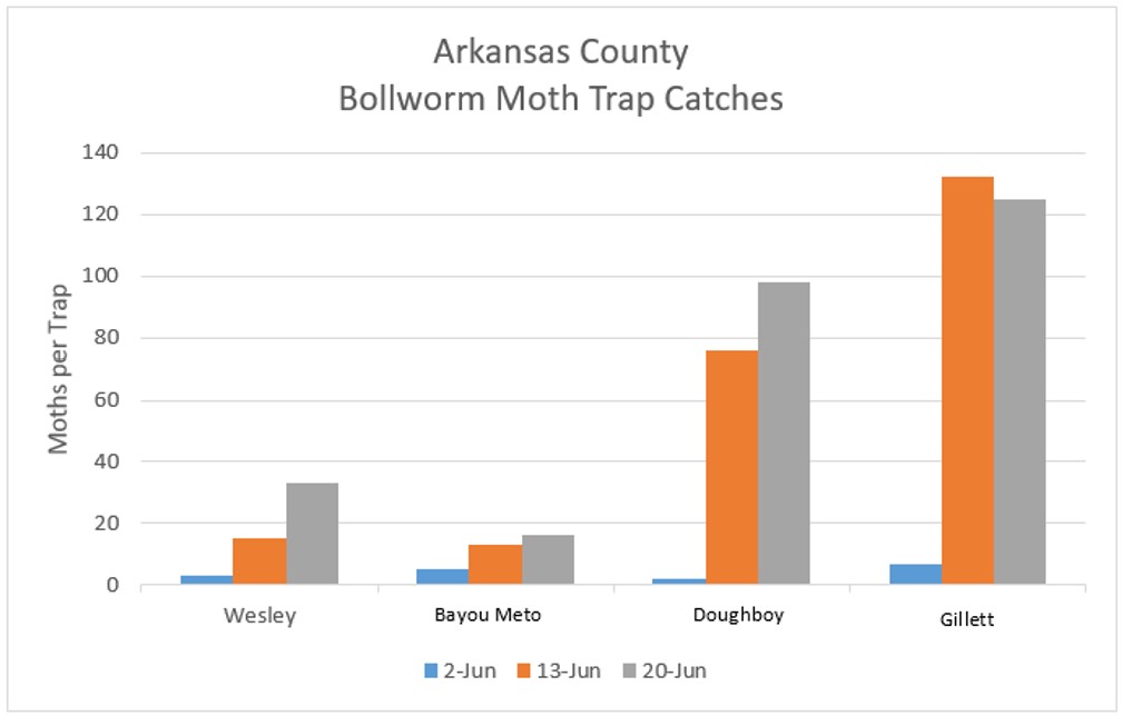 Bar graph indicating Bollworm Moth Trap Catches for Arkansas County (June 2 – 20, 2022) - refer to long descriptive text in the blog post for details.
