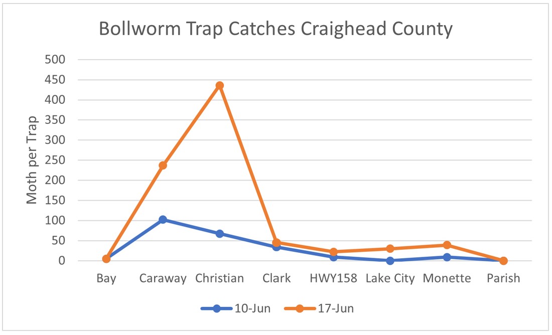 Double-line graph indicating Bollworm Moth Trap Catches for Craighead County, Arkansas (June 10 and June 17, 2022) - refer to long descriptive text in the blog post for details.