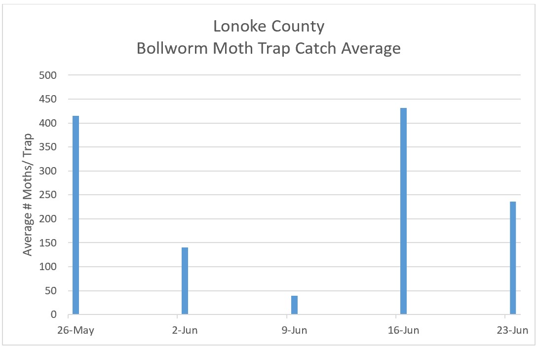 Bollworm Moth Trap Catches for Lonoke County (May 26 – June 23, 2022)
