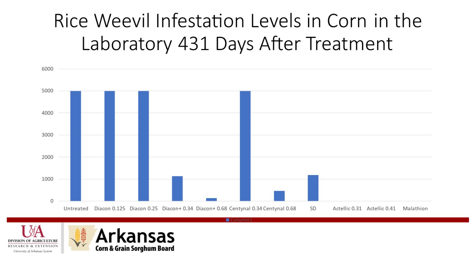 Bar graph showing rice weevils infestation levels in lab 431 days after treatment