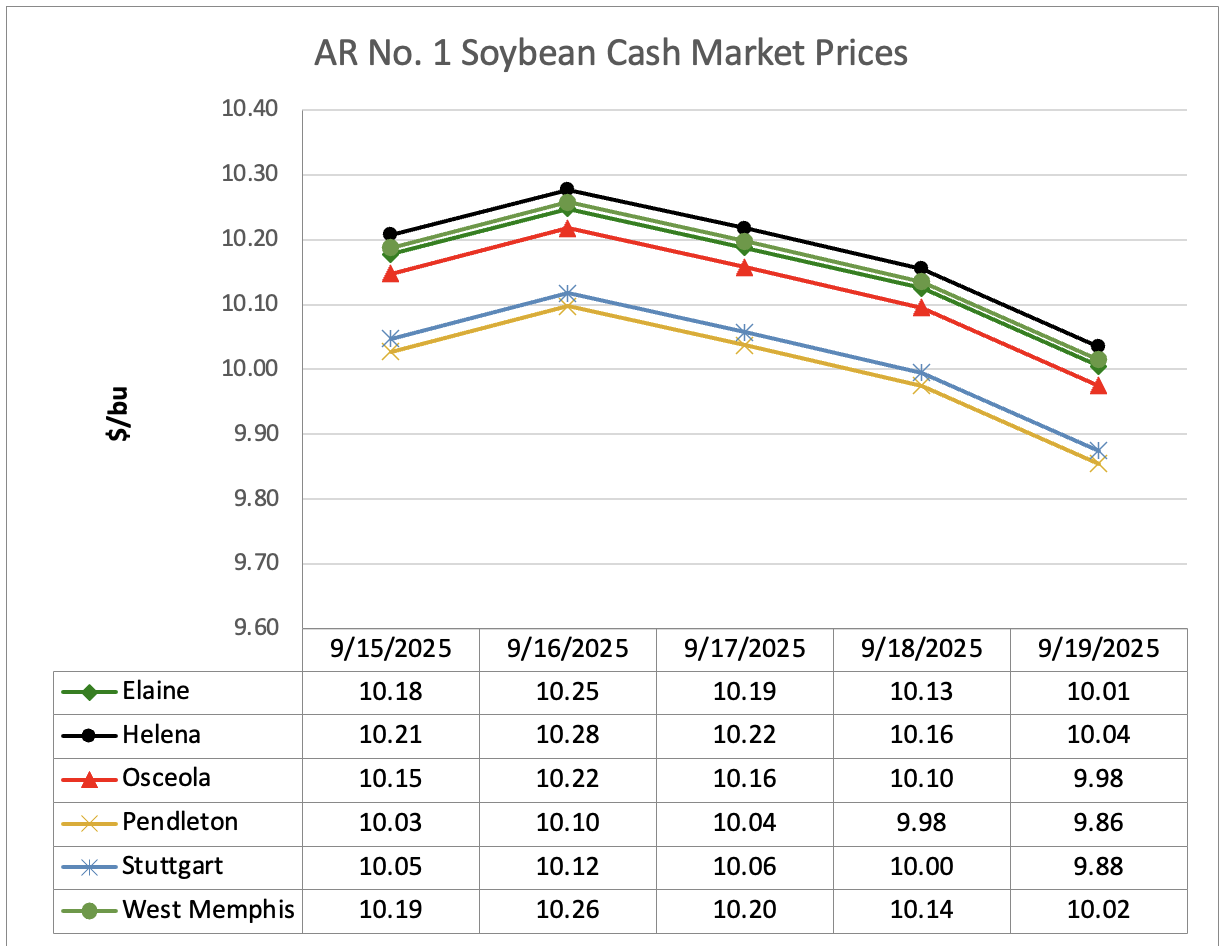 Line graph showing soybean cash market prices